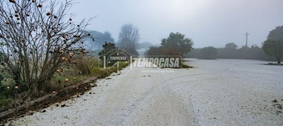 5 rooms Villa in Cesena, Italy No. 260568 36