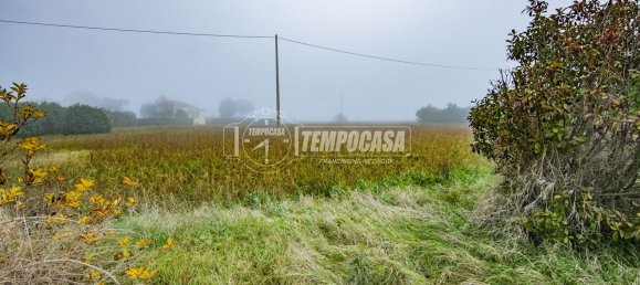 5 rooms Villa in Cesena, Italy No. 260568 38