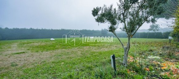 5 rooms Villa in Cesena, Italy No. 260568 26