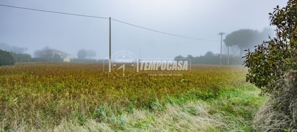 5 rooms Villa in Cesena, Italy No. 260568 39