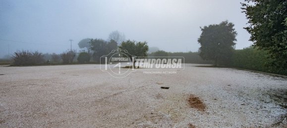 5 rooms Villa in Cesena, Italy No. 260568 35