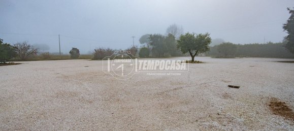 5 rooms Villa in Cesena, Italy No. 260568 34