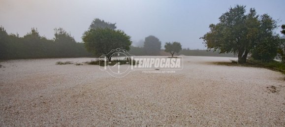 5 rooms Villa in Cesena, Italy No. 260568 32