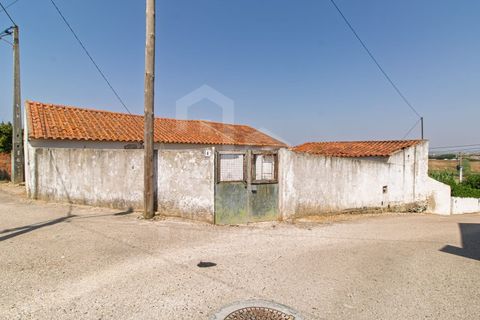 1 chambre Maison à Torres Vedras, Portugal No. 294967