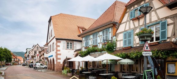 Gewerbliche Immobilie in Chatenois, France 110m², Nr. 62912 8