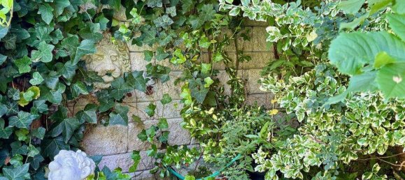 Таунхаус с 4 комнатами в Капелльн, Австрия № 209668 19