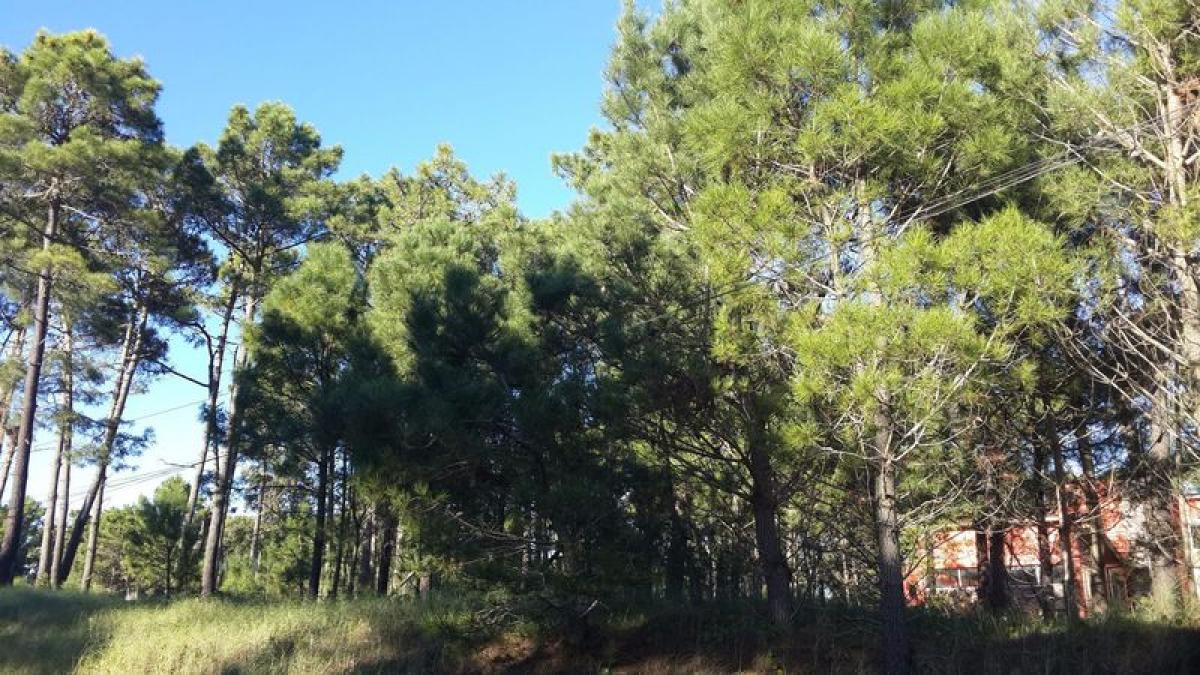  قطعة أرض في Mar del Plata, Argentina رقم 117262