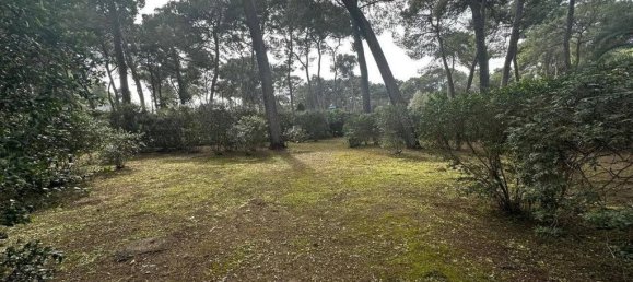 3 chambres Villa à Castellaneta, Italy No. 150202 7