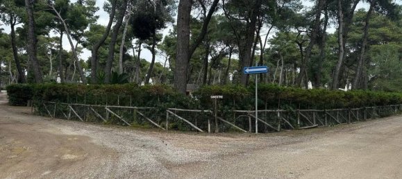 3 chambres Villa à Castellaneta, Italy No. 150202 5