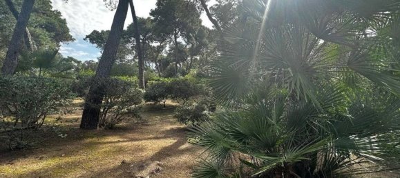 3 chambres Villa à Castellaneta, Italy No. 150202 8