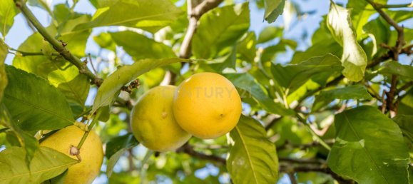 Villa T4 em Alvor, Portugal N.º 136109 30