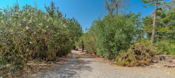 3 Schlafzimmer Haus in Sao Bartolomeu de Messines, Portugal, Nr. 352339 46