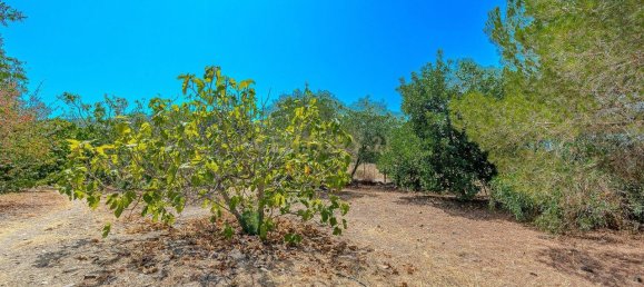 3 Schlafzimmer Haus in Sao Bartolomeu de Messines, Portugal, Nr. 352339 45