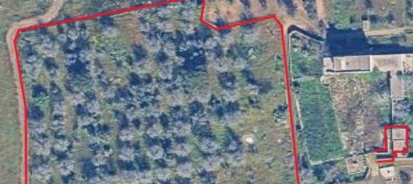 2-Zimmer Haus in Ugento, Italy, Nr. 288258 3