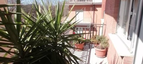 3-Zimmer Wohnung in Genzano di Roma, Italy, Nr. 155447 29