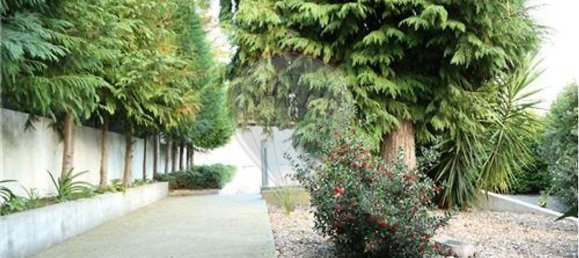 Casa de 3 dormitorios en Baiao, Portugal No. 16828 18