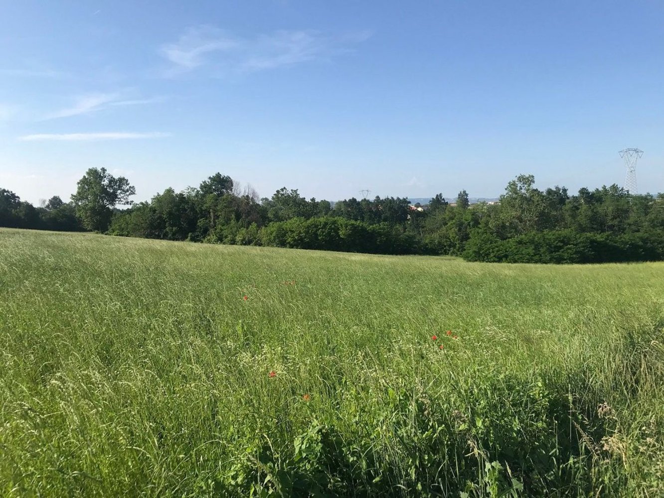 Земельный участок 9000м² в Черваска, Италия № 252343