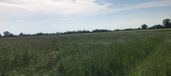 Земельный участок 9000м² в Черваска, Италия № 252343 2