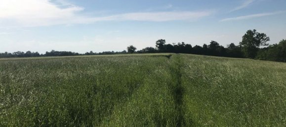 Земельный участок 9000м² в Черваска, Италия № 252343 3