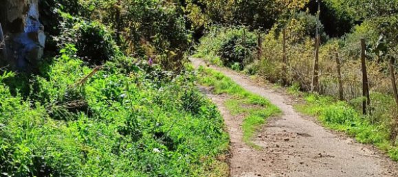 Casa de 10 habitaciónes en Mistretta, Italy No. 162821 23