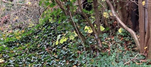 Casa de 4 habitaciónes en Salzlandkreis, Germany No. 244513 3