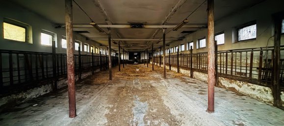 14غرفة منزل في Ilm-Kreis, Germany رقم 224293 10