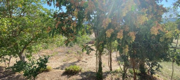 Дом с 8 комнатами в Паникале, Италия № 174546 18