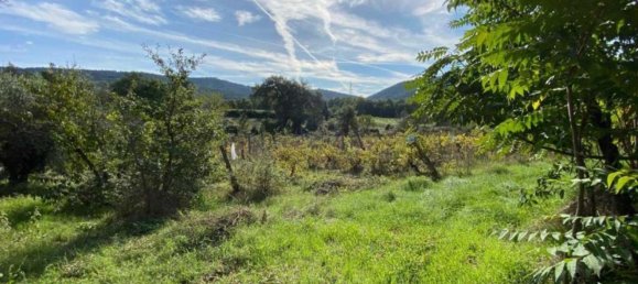 Дом с 8 комнатами в Паникале, Италия № 174546 12