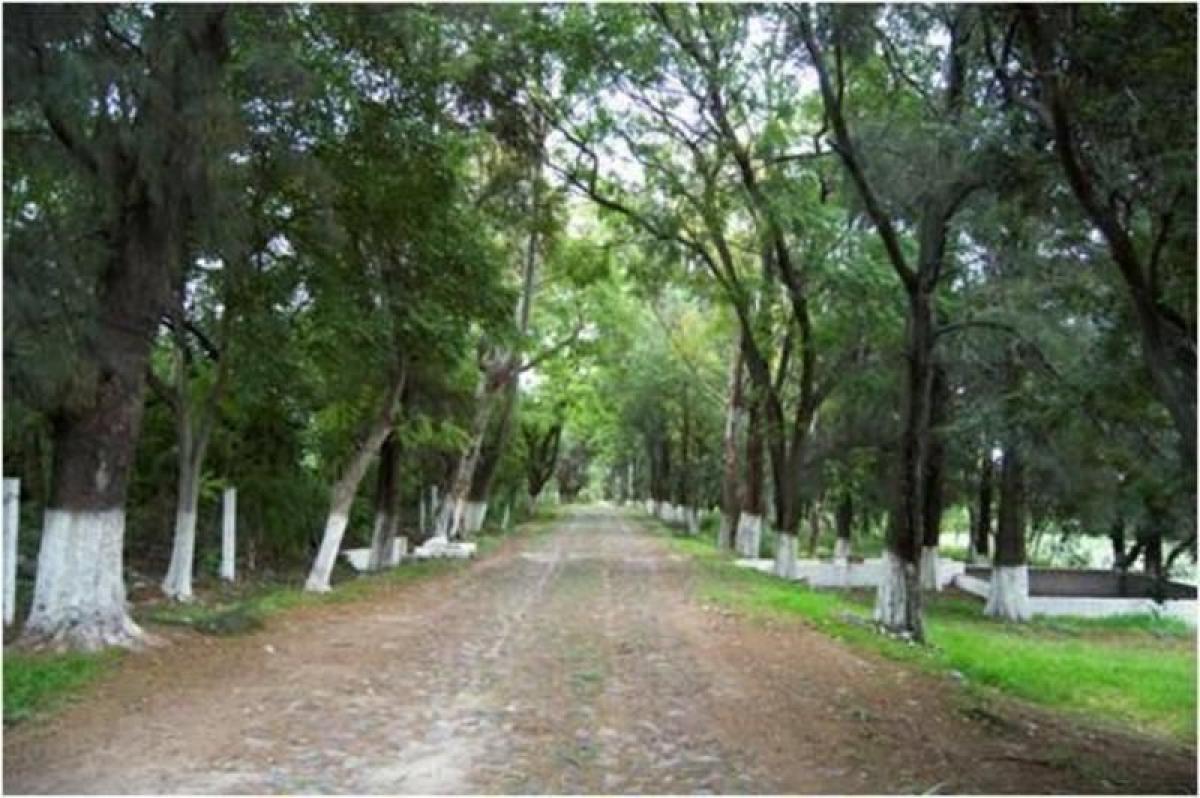 Terreno T8 em Comonfort, Mexico N.º 204652