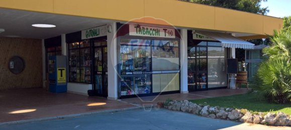 2 bedrooms House in Ugento, Italy No. 295522 29