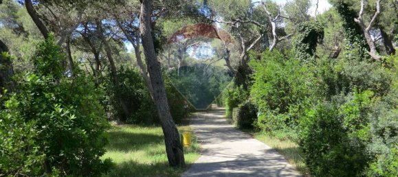 2 bedrooms House in Ugento, Italy No. 295522 8