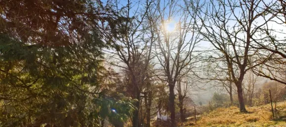 Земельный участок с 2 комнатами в Эслинген, Германия № 58540 4