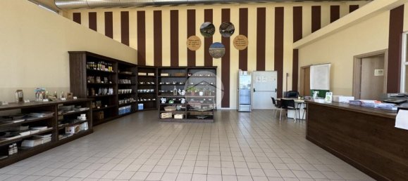 8 rooms Warehouse in Agliè, Italy No. 271801 11