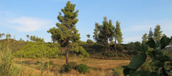 4 غرف نوم عقار تجاري في Chalkidiki, Greece رقم 6230 26