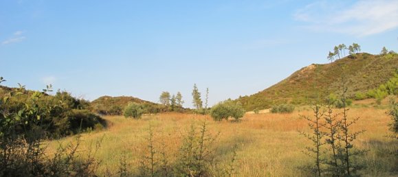 4 bedrooms Commercial property in Chalkidiki, Greece No. 6230 27