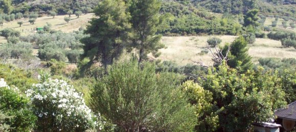 4 غرف نوم عقار تجاري في Chalkidiki, Greece رقم 6230 25