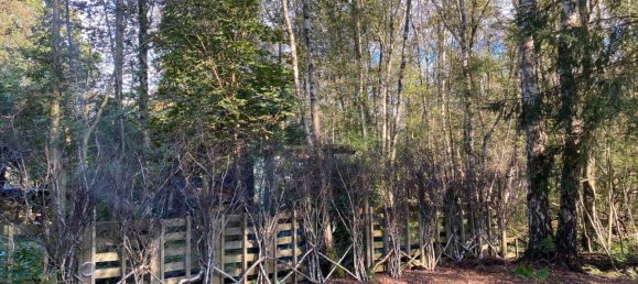 Estudio en Osterholz, Germany No. 361755 12