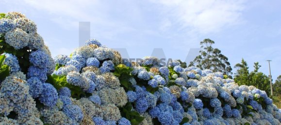 Grundstück in Santa Cruz, Portugal 320m², Nr. 221132 38