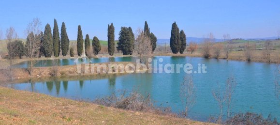 5 rooms Commercial property in Lajatico, Italy No. 38851 5