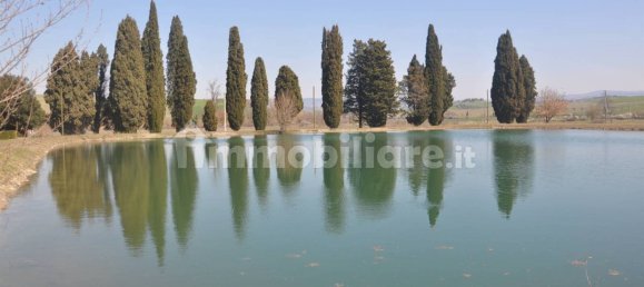 5 rooms Commercial property in Lajatico, Italy No. 38851 3