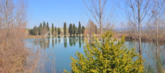 5 rooms Commercial property in Lajatico, Italy No. 38851 6