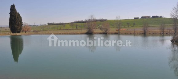 5 rooms Commercial property in Lajatico, Italy No. 38851 9