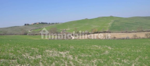 5 rooms Commercial property in Lajatico, Italy No. 38851 10