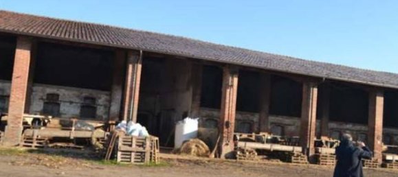 3 chambres Maison à Borgo San Giacomo, Italy No. 332265 13