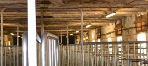 3 chambres Maison à Borgo San Giacomo, Italy No. 332265 34