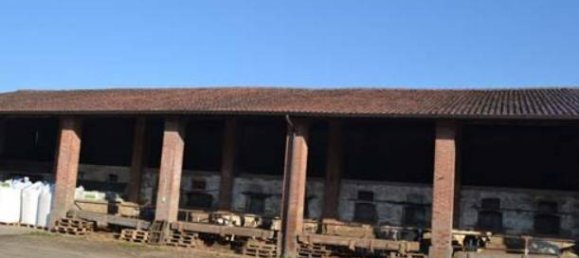 3 chambres Maison à Borgo San Giacomo, Italy No. 332265 12