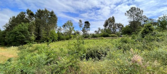  قطعة أرض في Viseu, Portugal 173متر مربع رقم 69061 5