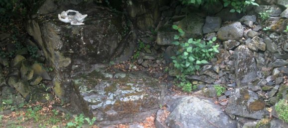 Terrain à Wetteraukreis, Germany 300m² No. 229399 18