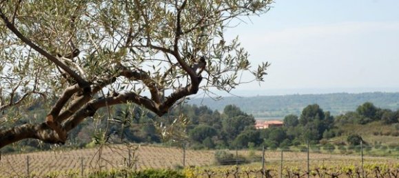 1603m² Land in Garriguella, Spain No. 73543 13