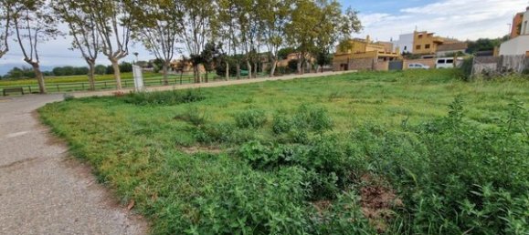 1603m² Land in Garriguella, Spain No. 73543 11